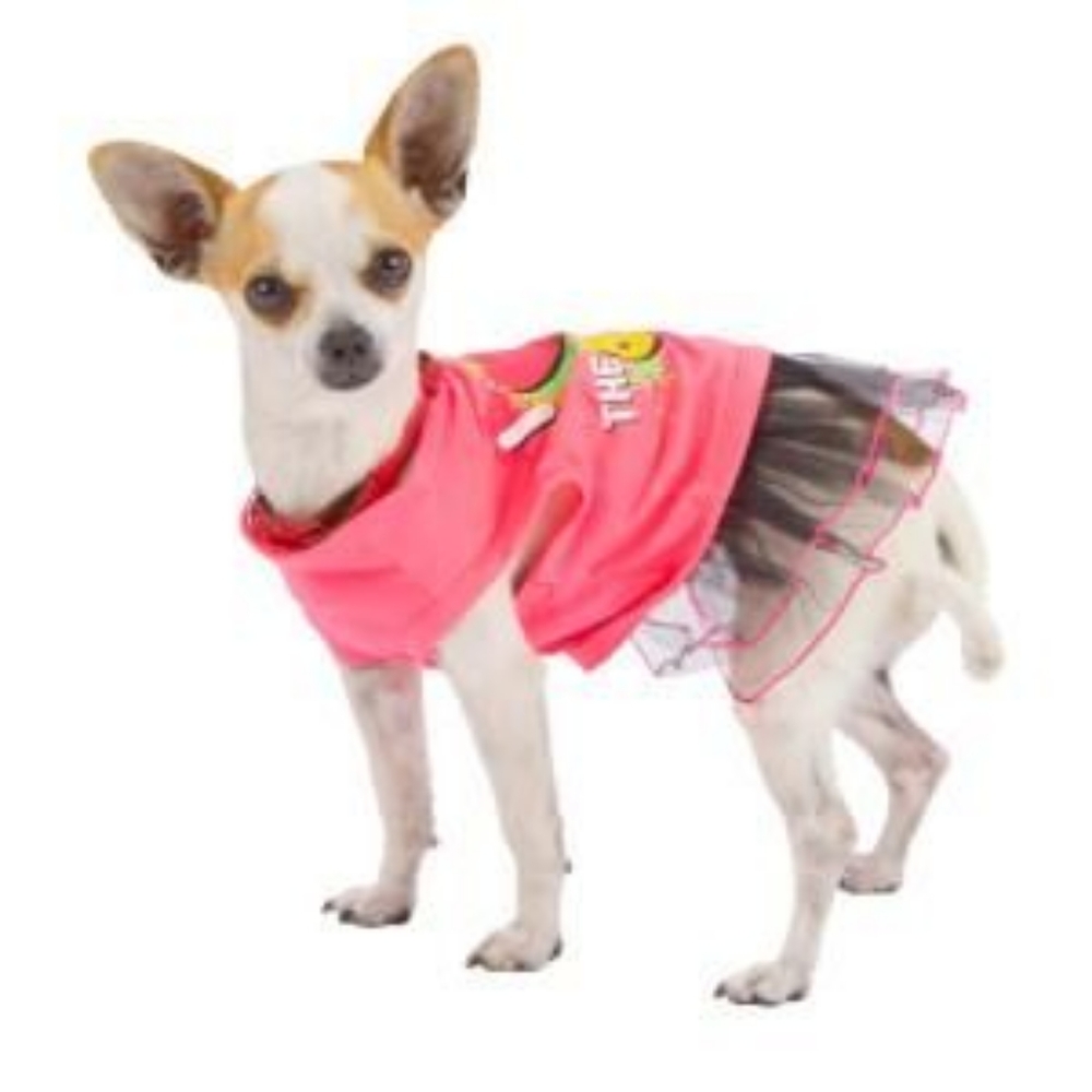 Pets Rock pair of outfits by Bret Michaels